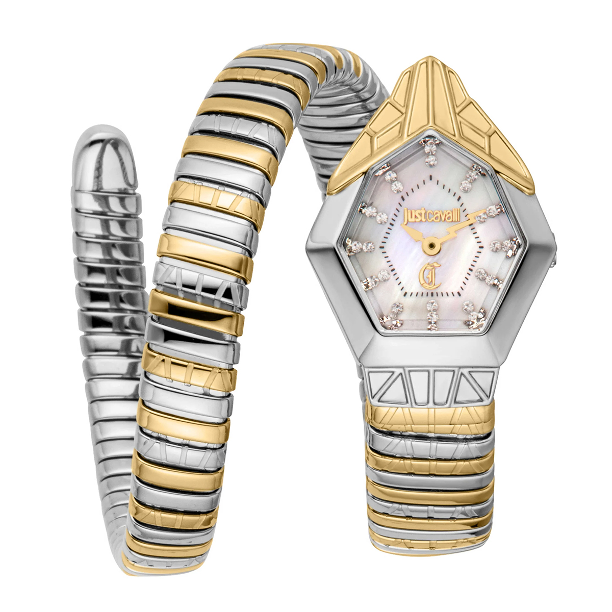 MONTRE JUST CAVALI FEMME SIMPLE ACIER